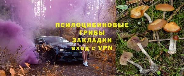 крисы Бугульма