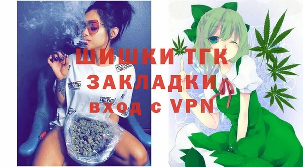 гашик Бородино