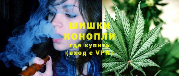 крисы Бугульма