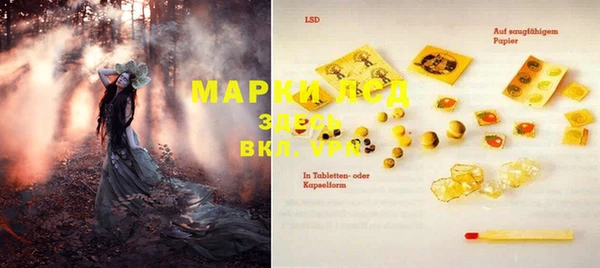 гашик Бородино