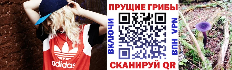 Псилоцибиновые грибы Magic Shrooms  Электросталь 